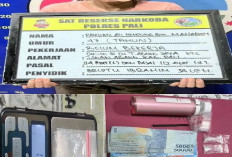 Gerebek Kecamatan Tanah Abang, Satres Narkoba Polres PALI Tangkap Perempuan Pengedar Narkoba 