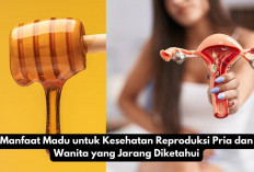 5 Manfaat Madu untuk Kesehatan Reproduksi Pria dan Wanita yang Jarang Diketahui!