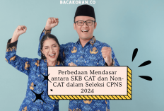 Perbedaan Mendasar Antara SKB CAT dan Non-CAT dalam Seleksi CPNS 2024