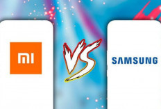 Harga Sama-sama Tinggi Tapi Siapa yang Lebih Canggih? Samsung Galaxy vs Xiaomi, Tentukan Pilihanmu!
