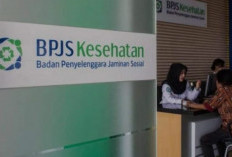 BPJS Buka Lowongan Kerja, Yuk Jadi Bagian dari Jaminan Kesehatan Nasional!