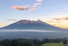 Diduga Tersesat, 4 Siswi SMA Hilang Saat Mendaki Gunung Salak Bogor, Begini Kronologinya!