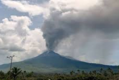 Info Gunung Ibu Erupsi, Kolom Abu Vulkanik Setinggi 4.000 Meter di Atas Puncak, Masyarakat Diimbau Waspada!