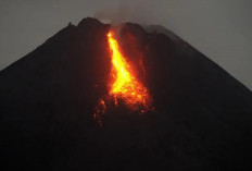Ngeri! Gunung Merapi Meletus Muntahkan Lava Sejauh Ini, Daerah Mana Saja yang Terancam?