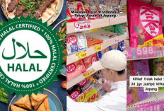 Belanja Tanpa Ragu! 3 Tips Jitu Cek Status Halal Produk Lokal dan Internasional yang Wajib Muslim Ketahui