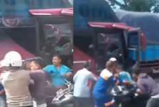 Viral! Adu Jotos di Tengah Macet: Sopir Bus vs Pengendara Motor Hebohkan Banyuwangi