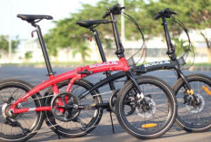 3 Sepeda Lipat Paling Hits untuk Sehari-hari, Gaya Oke Anti Ribet, Mudah Dilipat Satset! 