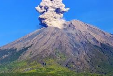 PVMBG: Update Gunung Semeru Kembali Erupsi, Tercatat Sebanyak 74 Kali Letusan dalam Sepekan, Status Meningkat?