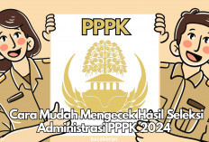 Honorer Wajib Tahu! Cara Mudah Cek Hasil Seleksi Administrasi PPPK 2024 Akhir Oktober Ini