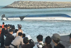 Heboh, Kecelakaan Fast Boat di Bali Tewaskan 2 WNA, Pelabuhan Sanur Ditutup!