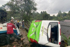 Bus Pariwisata Angkut 30 Penumpang Terguling di Puncak Bogor dan Timpa Sebuah Rumah! Ini Jumlah Korban...