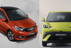 BYD Atto 1 vs Honda Brio: Duel Mobil Murah yang Bikin Konsumen Mulai Hitung Ulang Pengeluaran