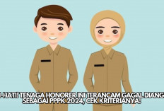 Hati-Hati! Tenaga Honorer ini Terancam Gagal Diangkat sebagai PPPK 2024, Cek Kriterianya