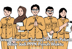 Ribuan Honorer TMS, Apakah Pelamar Tahap 2 Bisa Diangkat Sebagai PPPK Penuh Waktu? Intip Penjelasannya