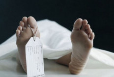 Mahasiswi NTT Tewas di Ciracas, Polisi Temukan Luka Lebam di Tubuh Korban, Pacar Jadi Tersangka?