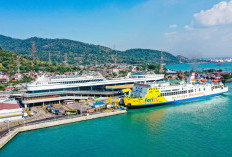Pembelian Tiket Kapal Ferry Harus Online, Tapi Calo Masih Marak, Kok Bisa?