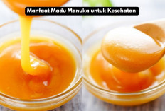 4 Manfaat Madu Manuka untuk Kesehatan yang Bikin Kamu Penasaran, Yuk Cari Tau Khasiatnya!