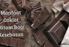 6 Manfaat Coklat Hitam Bagi Kesehatan Tubuh! Banyak Orang Belum Tau, Yuk Cek Khasiat di Sini…