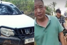 15 WNA China Diduga Serang TNI di Area Tambang Emas Ketapang, Begini Kronolginya