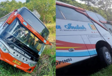 Kecelakaan Maut Bus Rosalia Indah di Tol Semarang-Batang Tewaskan 7 Orang, Begini Kondisi Jalan Tol Saat Ini!