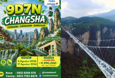 Cuma Rp11 Jutaan! Jelajahi Kota 9D Chongqing hingga Negeri Avatar Zhangjiajie, Paket Wisata Muslim ke China