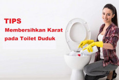 Cara Menghilangkan Cincin Noda Karat pada Toilet Duduk dan Mencegahnya Kembali, Dijamin Auto Kinclong!