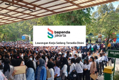 Gajinya 5 Juta! Yuk Daftar Sekarang Lowongan Kerja Bapenda DKI Jakarta, Buka Untuk 6 Posisi Ini Gais