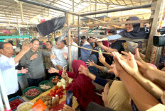 Cek Harga Sembako Palembang, Jokowi Blusukan Pasar Sekip! Pedagang Antusias dan Rela Berhimpitan 
