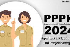 Pelamar PPPK Guru 2024 Wajib Tahu! Apa Perbedaan P1, P2 dan P3, Simak Penjelasannya di Sini