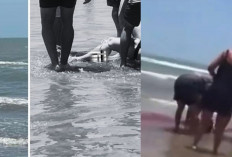 Viral! Pengunjung Terkena Serangan Hiu Saat Berenang di Pantai Pulau Padre Selatan, Betis Hilang Setengah...