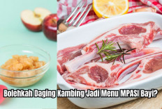 Masih Suasana Idul Adha, Bolehkah Daging Kambing Jadi Menu MPASI Bayi? Ini Penjelasan Dokter Gizi