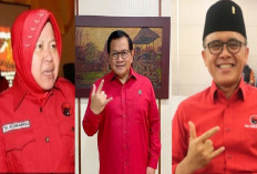 Tiga Menteri PDIP ‘Berebut’ Jadi Cagub di Pilkada Jatim 2024, Siapa Saja?