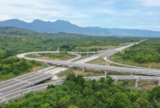 Target Selesai Tahun 2024... Jalan Tol Trans Sumatera Direncanakan Tembus Sampai Ke Jambi