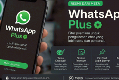 WhatsApp 2026 Bikin Heboh! Ada WhatsApp Plus Resmi hingga Daftar HP yang Tak Bisa Lagi Pakai WA