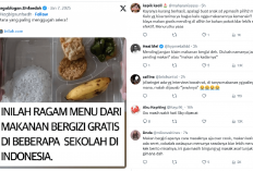 Kocak! Netizen Sebut Siswa SD Cuma Suka Jeruknya Aja dari Menu Makan Bergizi Gratis Prabowo-Gibran