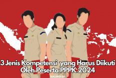 PPPK Periode 1 Resmi Ditutup! 265.608 Peserta Siap Bersaing Di 3 Jenis Kompetensi Ini, Kamu Salah Satunya?