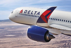 Gara-gara Makanan Basi, Delta Airlines Mendarat Darurat di New York, Kok Bisa?