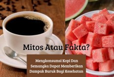 Waduh! Minum Kopi Mix Semangka Bisa Bahaya untuk Tubuh? Mitos atau Fakta Ya, Intip Disini...