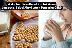 4 Manfaat Susu Kedelai untuk Asam Lambung, Solusi Alami untuk Penderita GERD