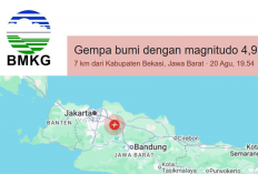 Breaking News! Bekasi-Karawang Diguncang Gempa M4,7 Pada Malam Hari, BMKG Catat 13 Gempa Susulan dan Pemicunya