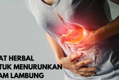 3 Rekomendasi Racikan Obat Herbal untuk Menurunkan Asam Lambung, Salah Satunya Jahe dan Madu