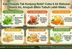 Sakit Kepala Tak Kunjung Reda? Coba 6 Air Rebusan Alami Ini, Ampuh Bikin Tubuh Lebih Rileks