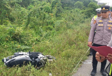 Tabrak Kerbau yang Menyeberang Jalan Lintas Sumatera, Bidan PNS Tewas