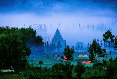 Glamping Mewah di Atas Awan! Sensasi Tidur di Pelukan Kabut Dieng yang Bikin Lupa Pulang