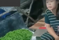 Viral, Lahan Parkir Dijual Untuk Lapak Jualan Hingga Belasan Juta. Netizen : Yang jual Galak yang Beli Galak