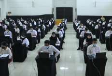 Baru Diterima, Langsung Mundur Sebelum Bertugas! BKN Bongkar Alasan 1.967 CPNS 'Kabur’ Massal