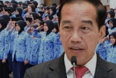 Kado Tahun Baru ! Jokowi Setujui Kenaikan Gaji Honorer, Jumlahnya Bakal Saingi PNS..