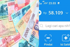 9 Link Penghasil Saldo DANA Gratis Paling Cuan 2024 Cair Rp50.000 Setiap Hari Tanpa KTP, di Sini Ambilnya Bro!