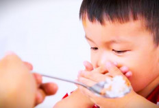 Berikut 10 Tips Efektif Menghadapi Anak atau Balita yang Susah Makan, Mengatur Pola Asupan Si Kecil