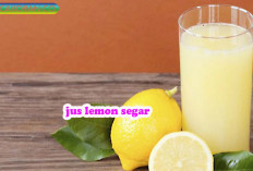 Ide jualan Yang Menguntungkan dan Praktis  Jus Lemon Segar Yang Nikmat